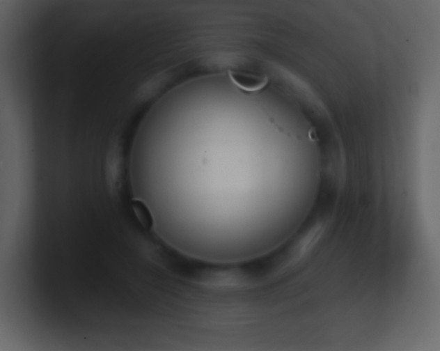 X0000101390548200807071200