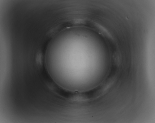 X0000101390550200807071200