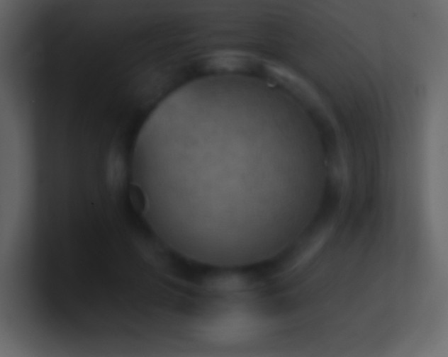 X0000101390551200807071200