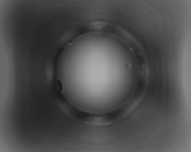 X0000101390552200807071200