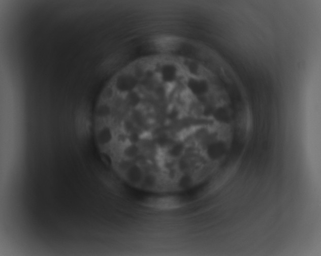 X0000101390553200807071200