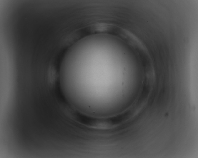 X0000101390555200807071200