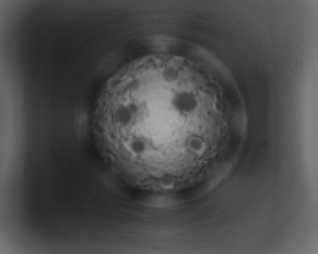 X0000101390557200807071200