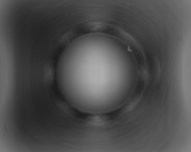 X0000101390558200807071200