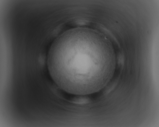 X0000101390559200807071200