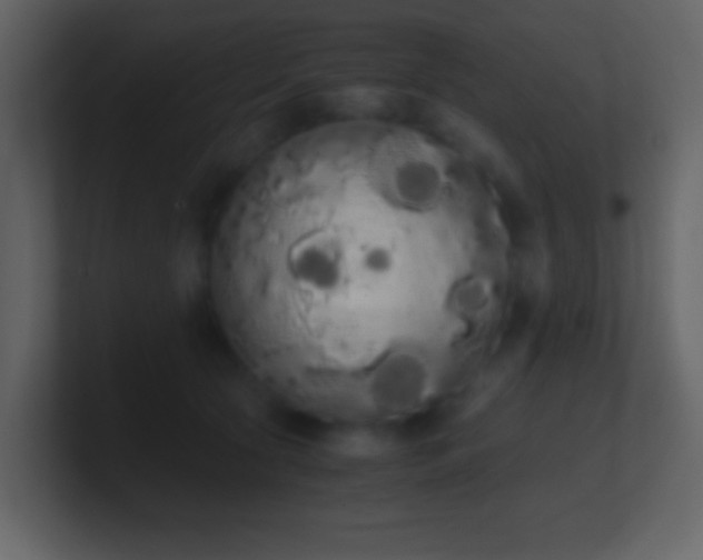 X0000101390561200807071200