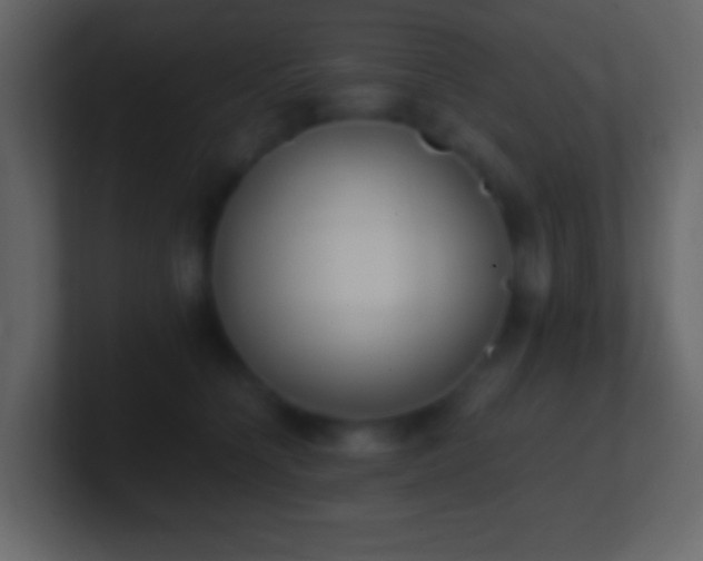 X0000101390564200807071200