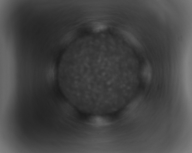 X0000101390565200807071200