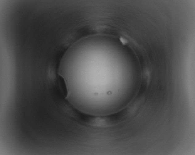 X0000101390566200807071200