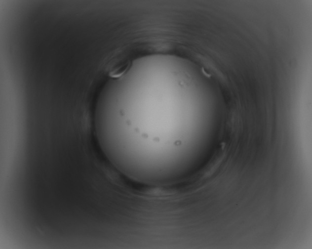 X0000101390568200807071200