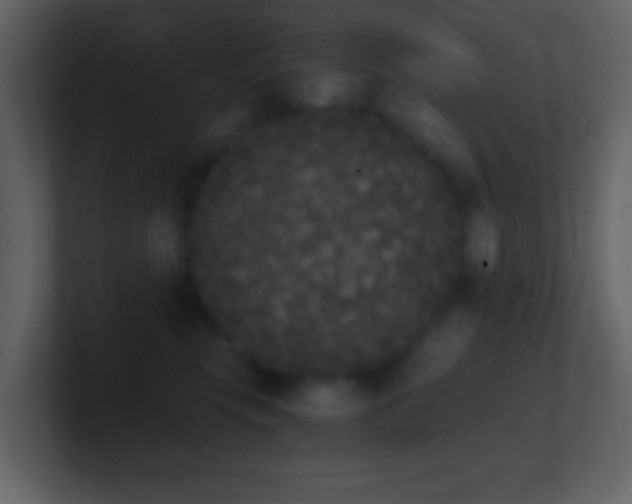 X0000101390569200807071200