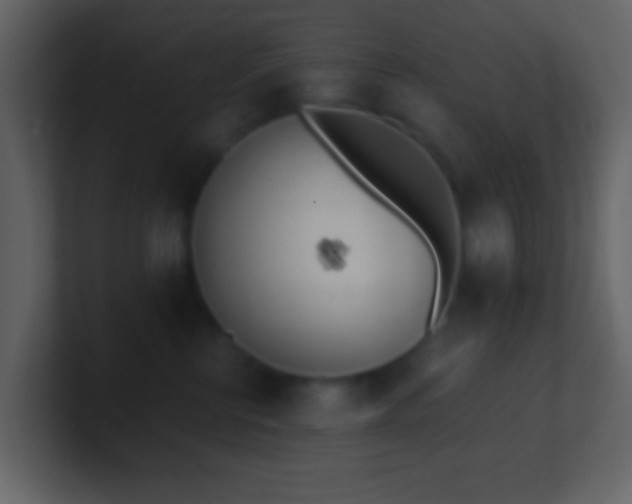 X0000101390570200807071200