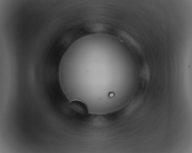 X0000101390572200807071200