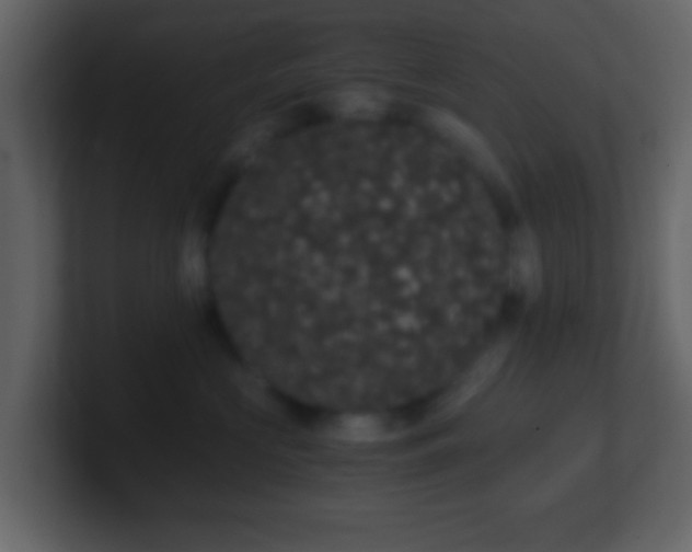 X0000101390573200807071200