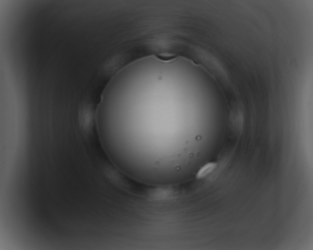 X0000101390574200807071200