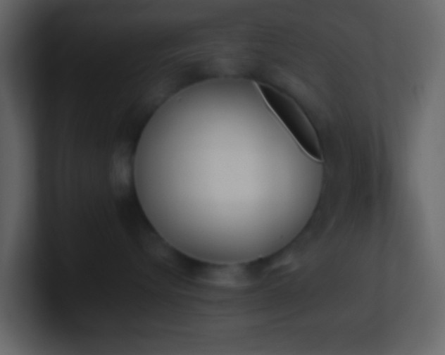 X0000101390576200807071200