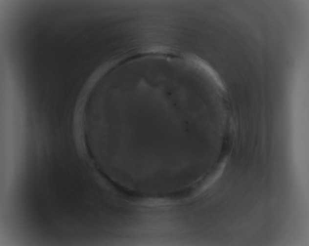 X0000101390577200807071159