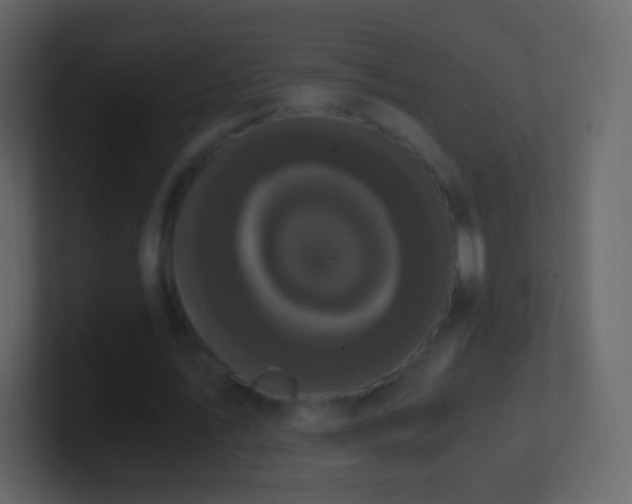 X0000101390579200807071159