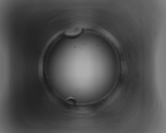 X0000101390580200807071159