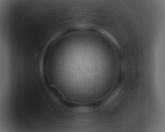 X0000101390581200807071159