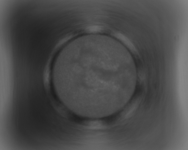 X0000101390583200807071159