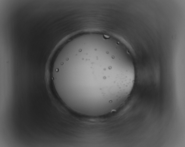 X0000101390584200807071159