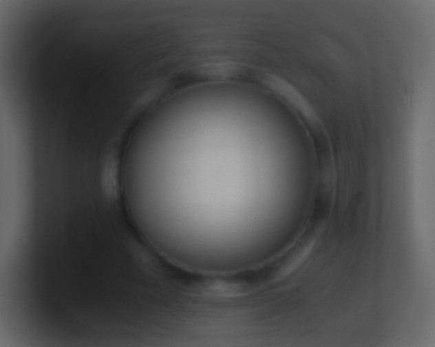 X0000101390585200807071159