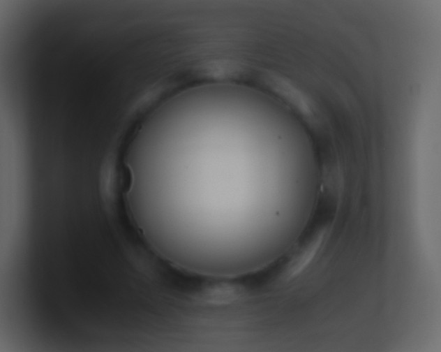 X0000101390587200807071159