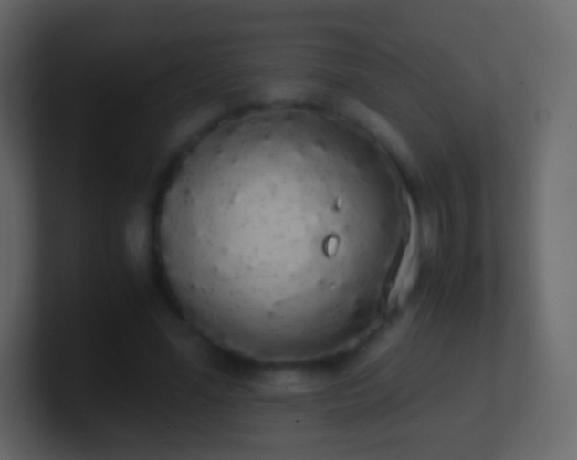 X0000101390588200807071159