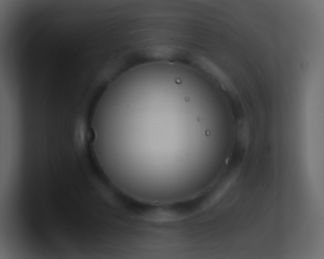 X0000101390589200807071159