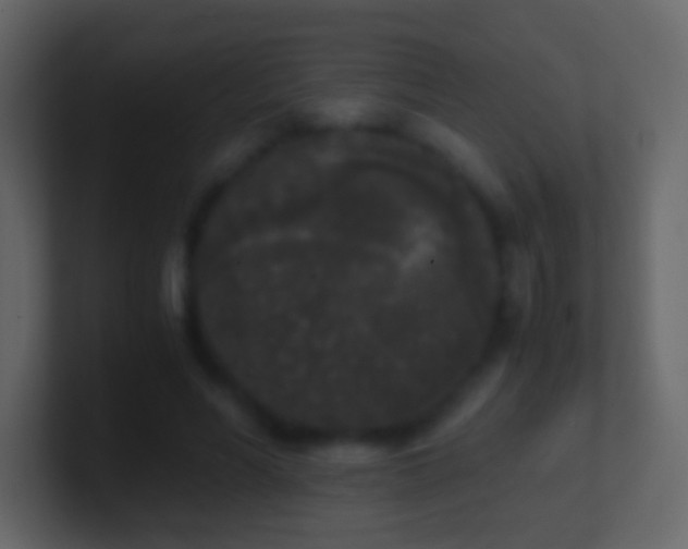 X0000101390590200807071159