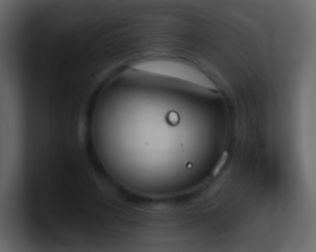 X0000101390592200807071159