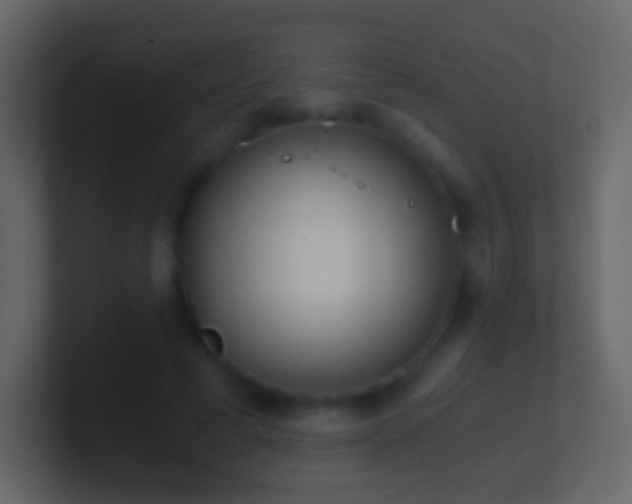 X0000101390593200807071159