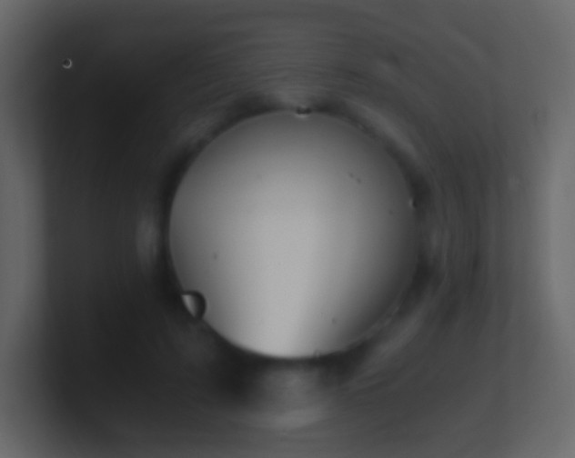 X0000101390595200807071159