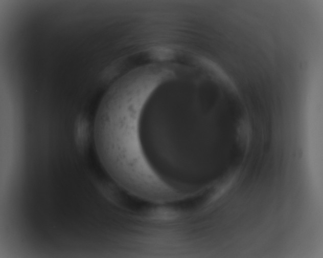 X0000101390598200807071159