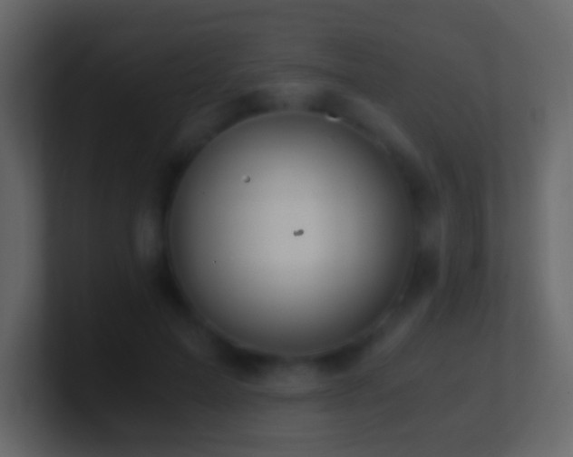 X0000101390599200807071159