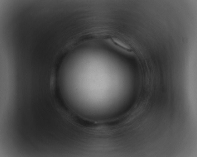 X0000101390600200807071159