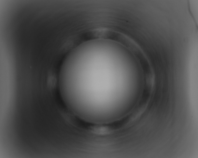 X0000101390602200807071159