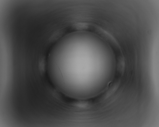 X0000101390604200807071159