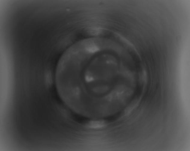 X0000101390606200807071159