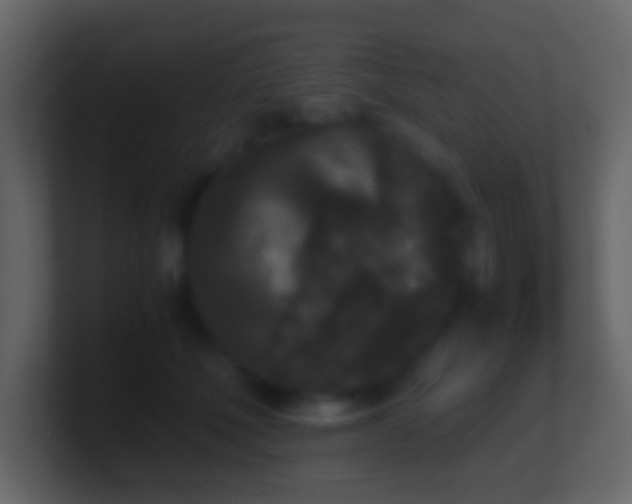 X0000101390610200807071159