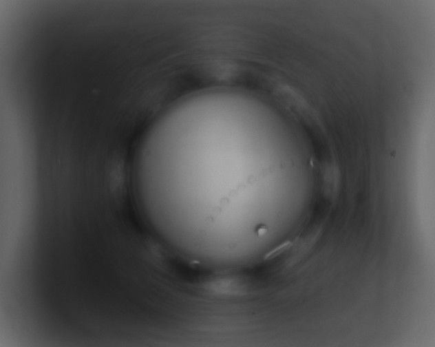 X0000101390612200807071159