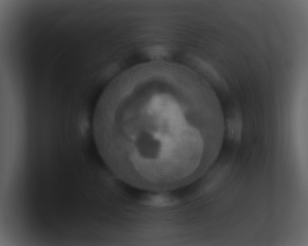 X0000101390618200807071159