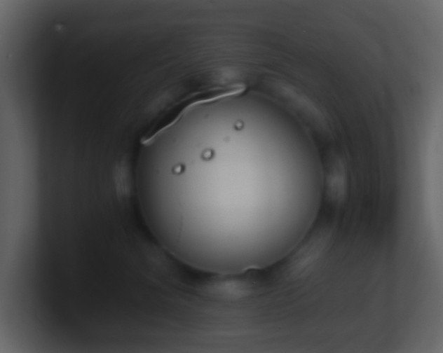 X0000101390620200807071159