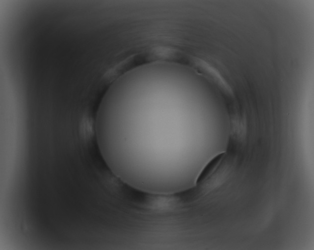 X0000101390621200807071159