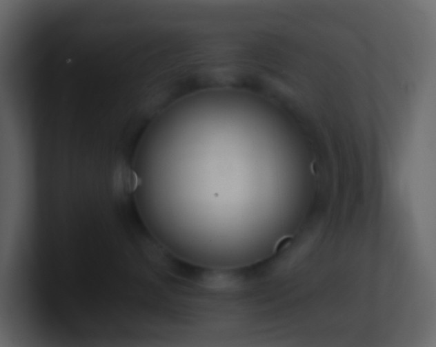 X0000101390624200807071159