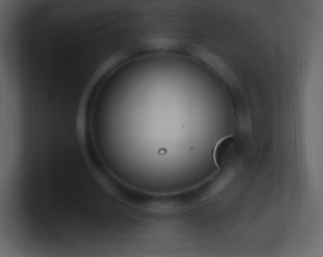 X0000101390630200807071158