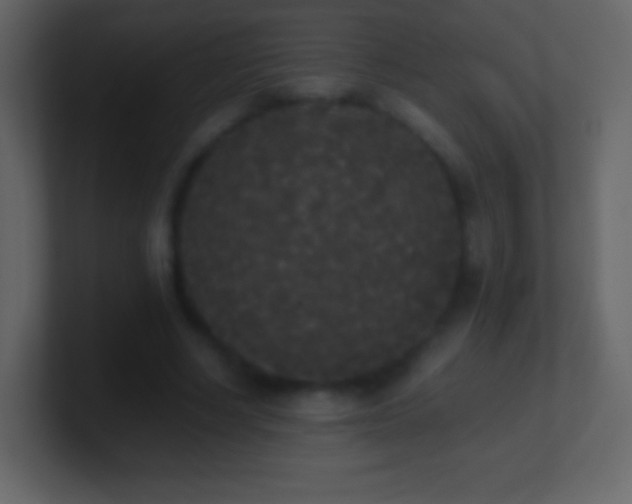 X0000101390634200807071158