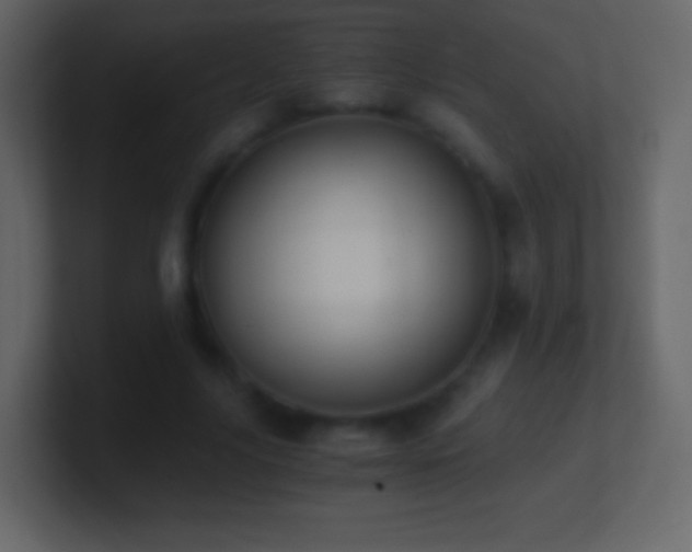 X0000101390635200807071158