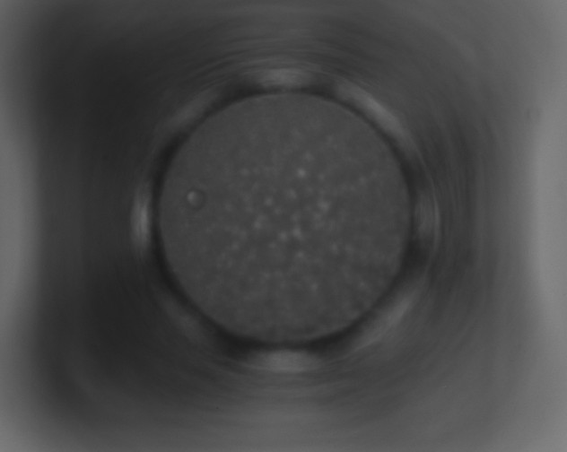 X0000101390637200807071158